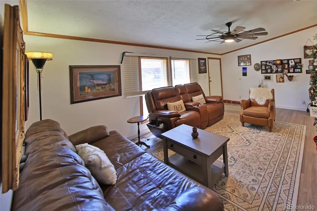 4055 Pinion Street Collbran CO 81624