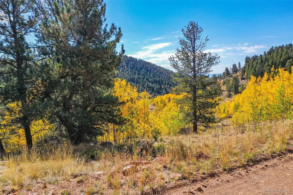 230 Penrose Circle Cripple Creek CO 80813