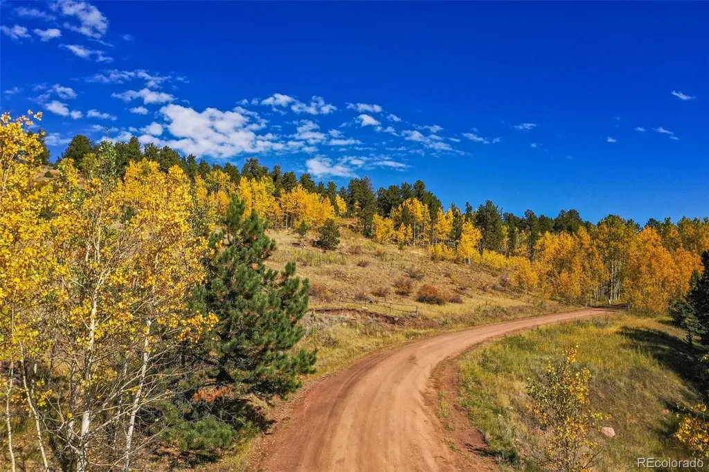 230 Penrose Circle Cripple Creek CO 80813