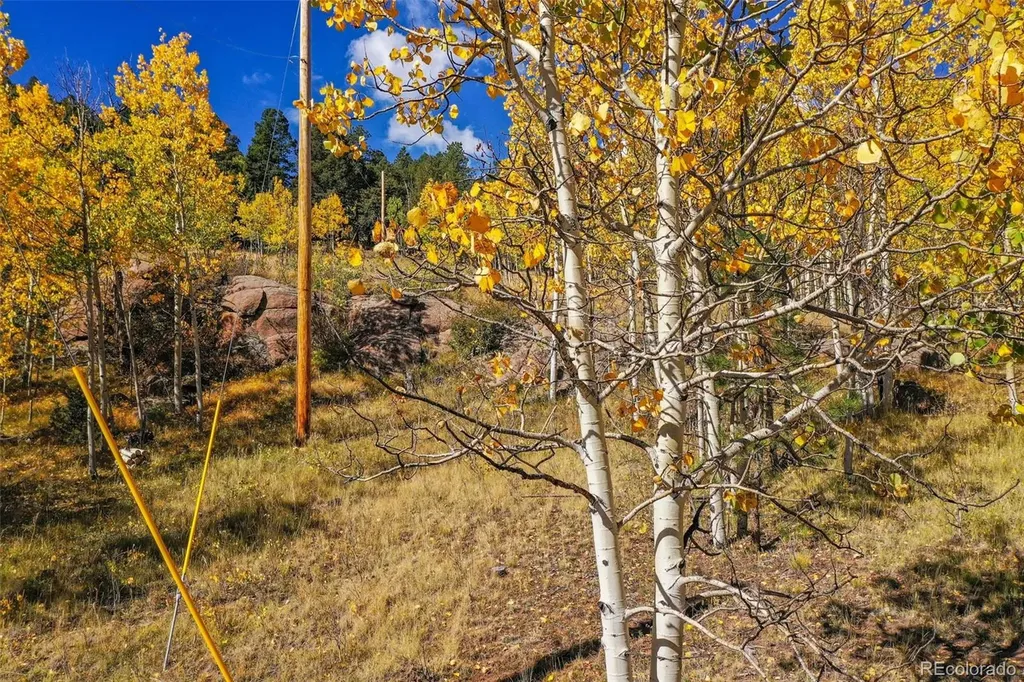 230 Penrose Circle Cripple Creek CO 80813