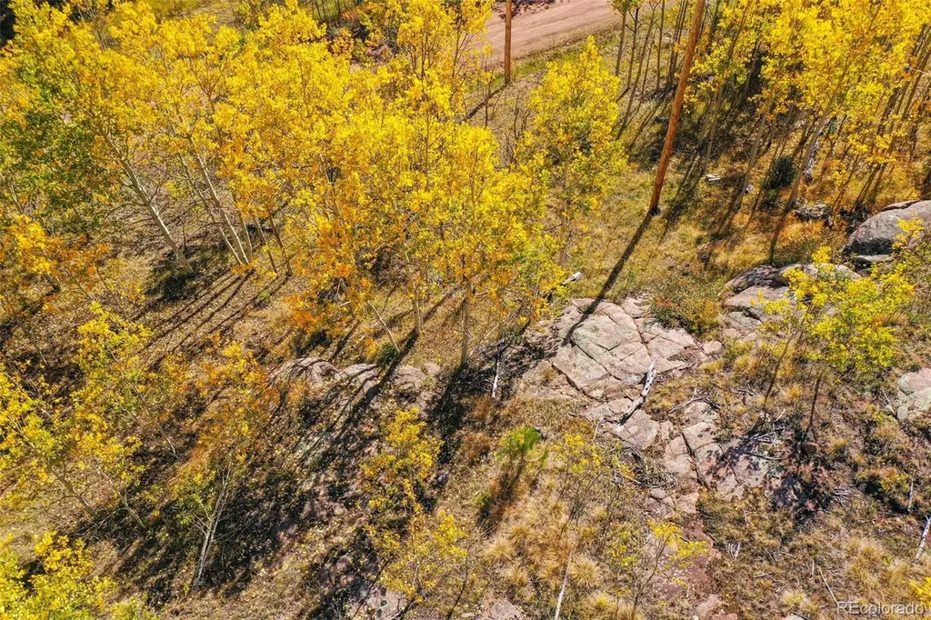 230 Penrose Circle Cripple Creek CO 80813