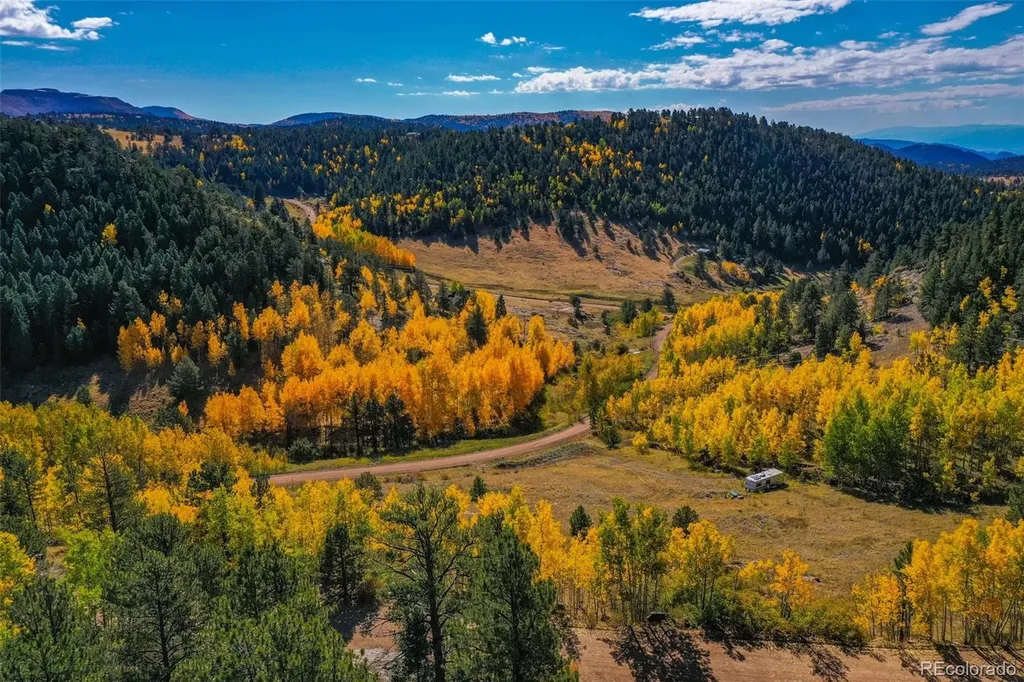 230 Penrose Circle Cripple Creek CO 80813