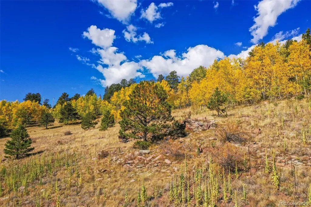 230 Penrose Circle Cripple Creek CO 80813