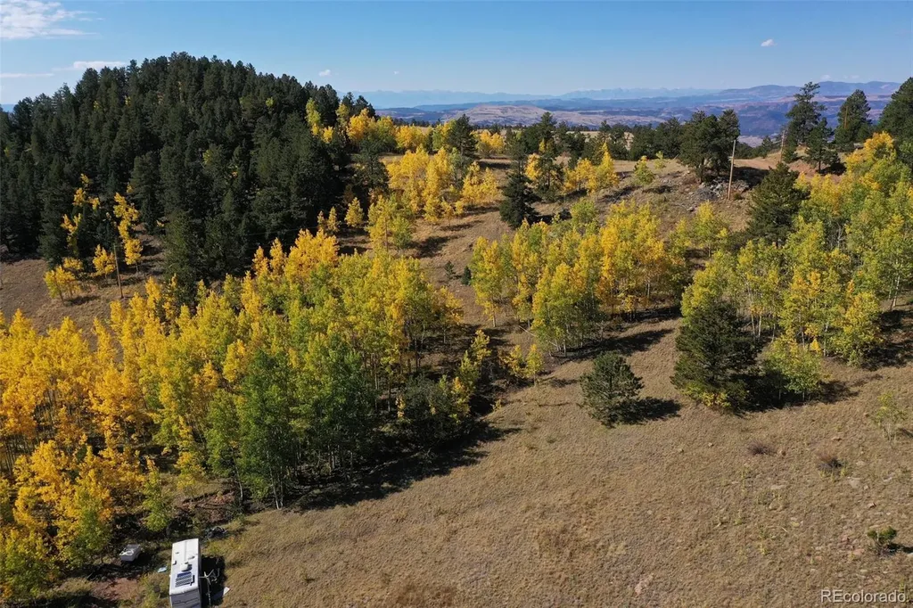 230 Penrose Circle Cripple Creek CO 80813