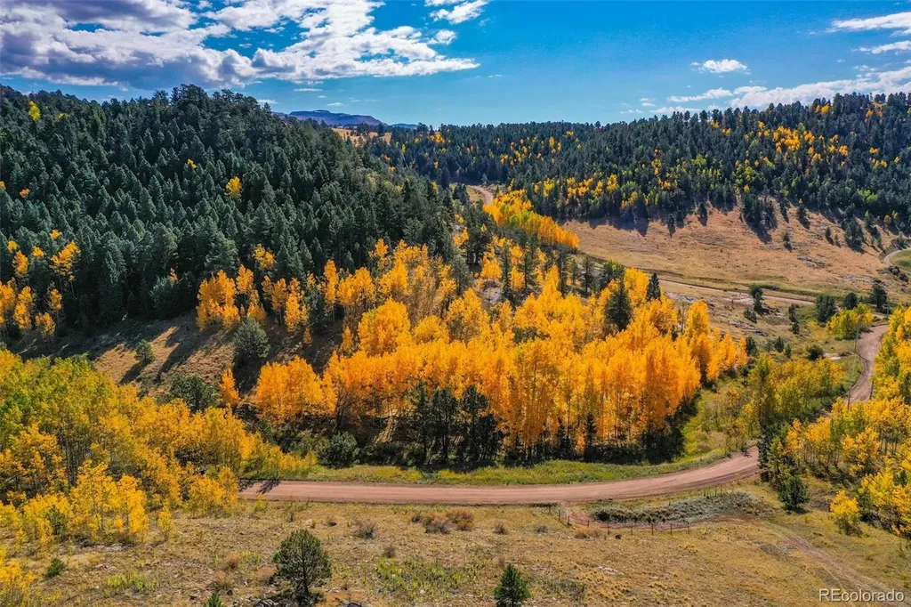 230 Penrose Circle Cripple Creek CO 80813