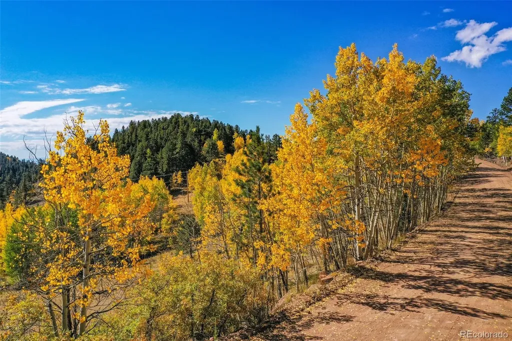 230 Penrose Circle Cripple Creek CO 80813