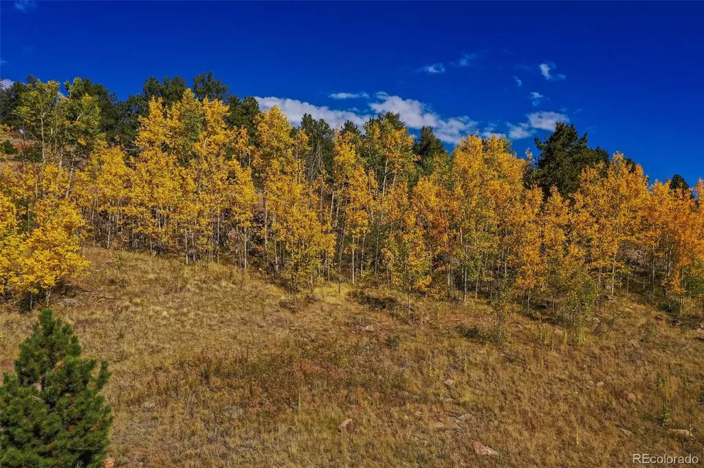230 Penrose Circle Cripple Creek CO 80813