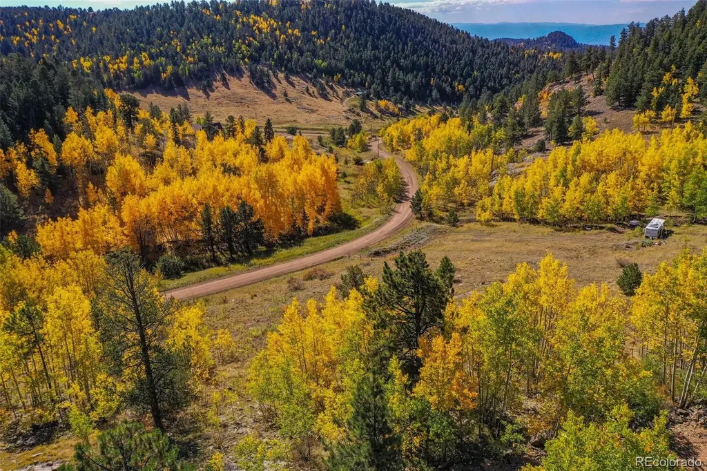 230 Penrose Circle Cripple Creek CO 80813