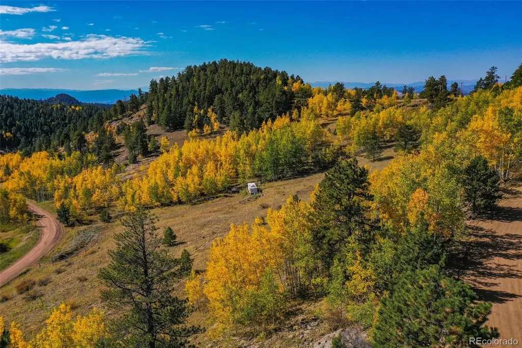 230 Penrose Circle Cripple Creek CO 80813