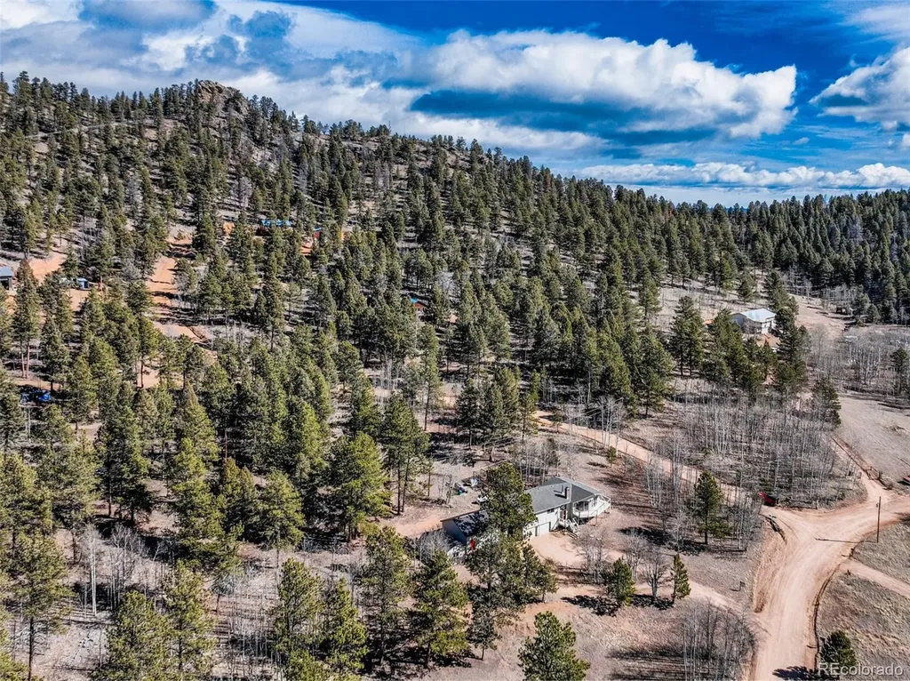 1874 Vagabond Creek Drive Lake George CO 80827