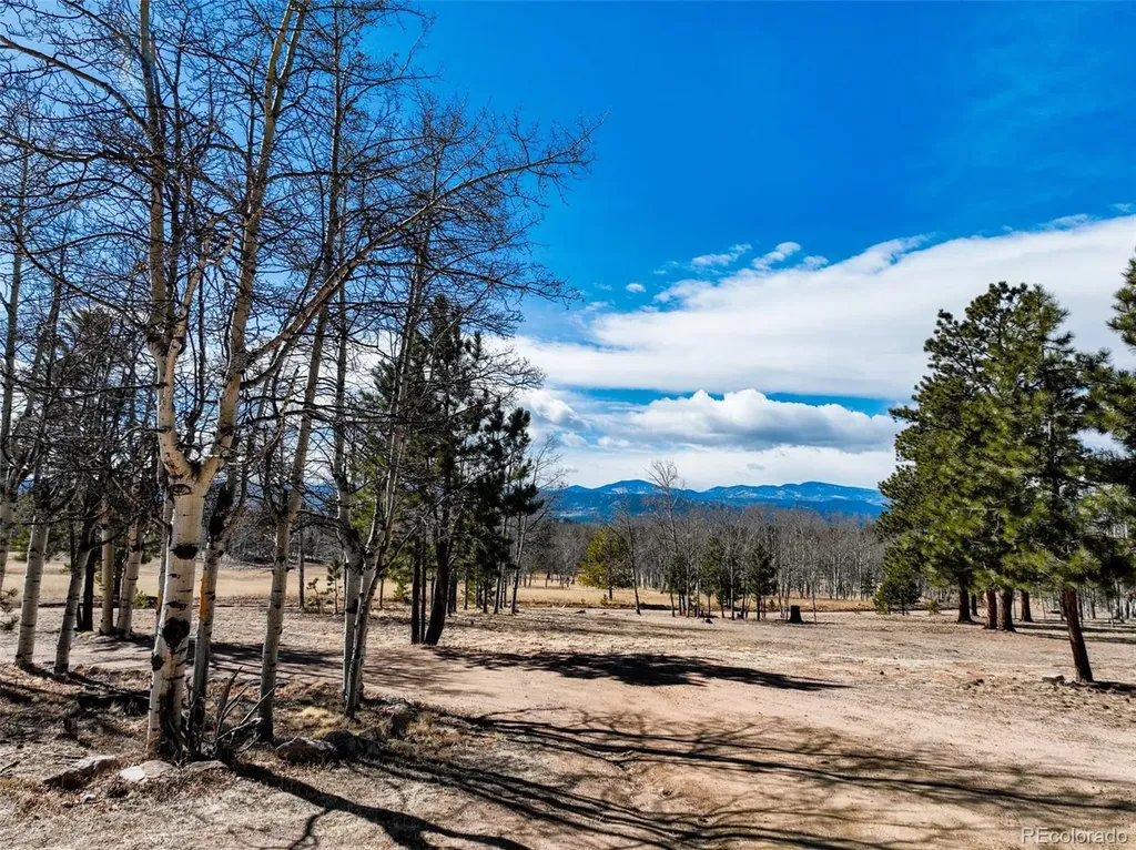 1874 Vagabond Creek Drive Lake George CO 80827