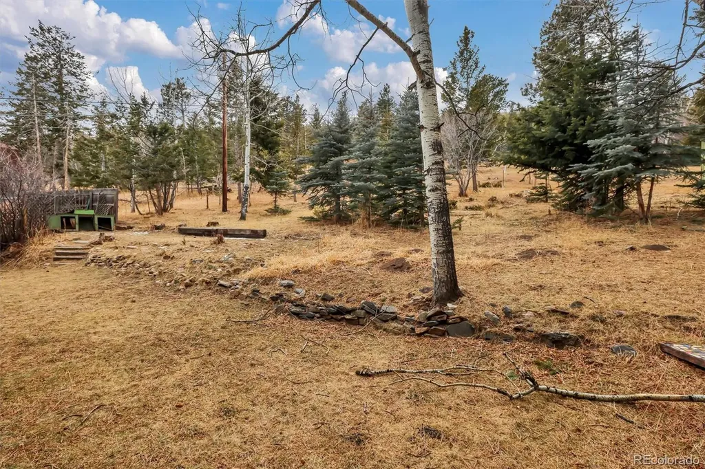 55 Meadow View Drive Evergreen CO 80439
