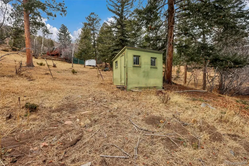 55 Meadow View Drive Evergreen CO 80439