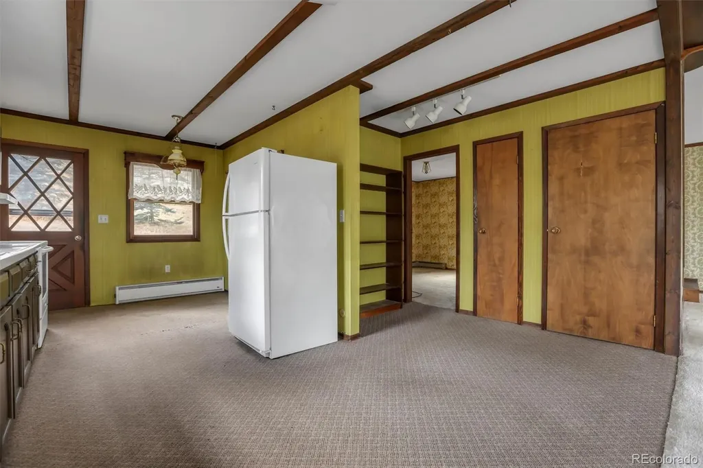 55 Meadow View Drive Evergreen CO 80439