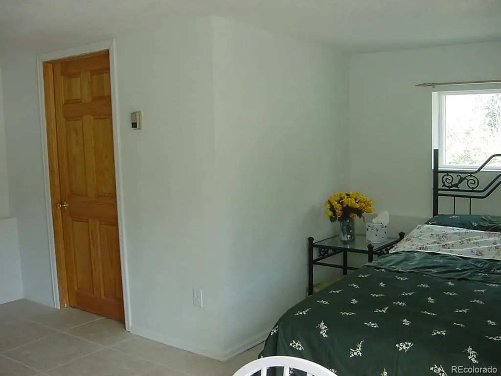 26 Avery Street Empire CO 80438