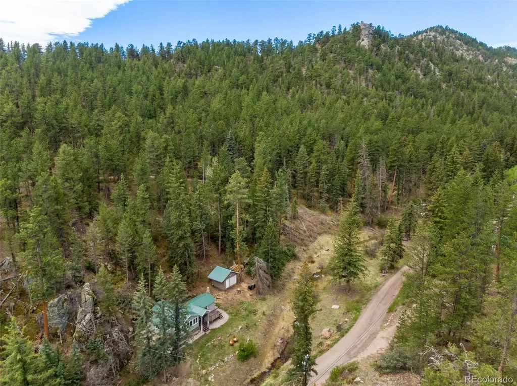 232 Fox Creek Road Glen Haven CO 80532