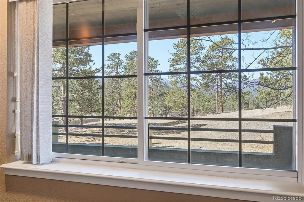 31819 Rocky Village Drive Evergreen CO 80439