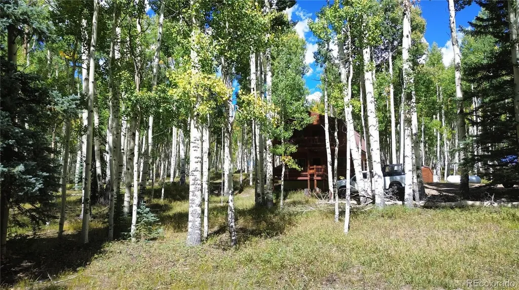 613 Alamosa Avenue Jasper CO 81140