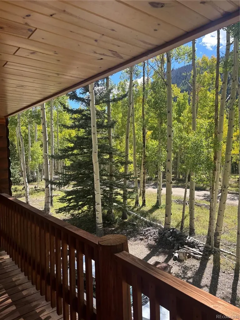 613 Alamosa Avenue Jasper CO 81140