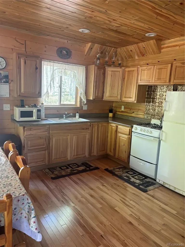 613 Alamosa Avenue Jasper CO 81140