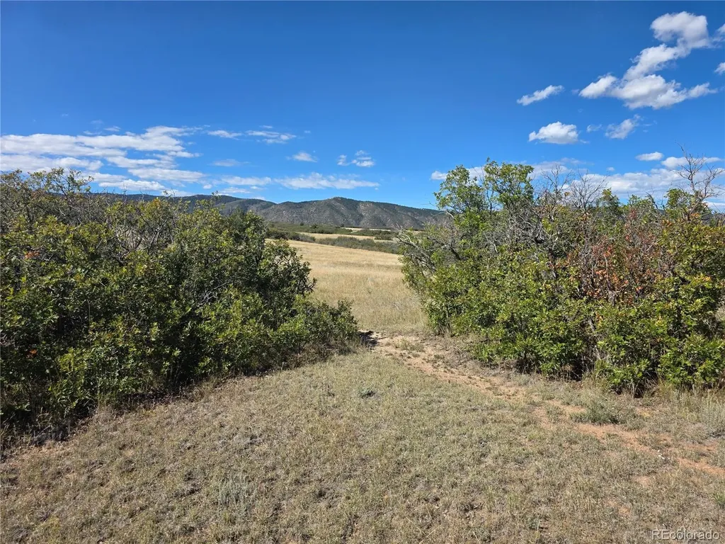 5230 Tall Horse Trail Sedalia CO 80135
