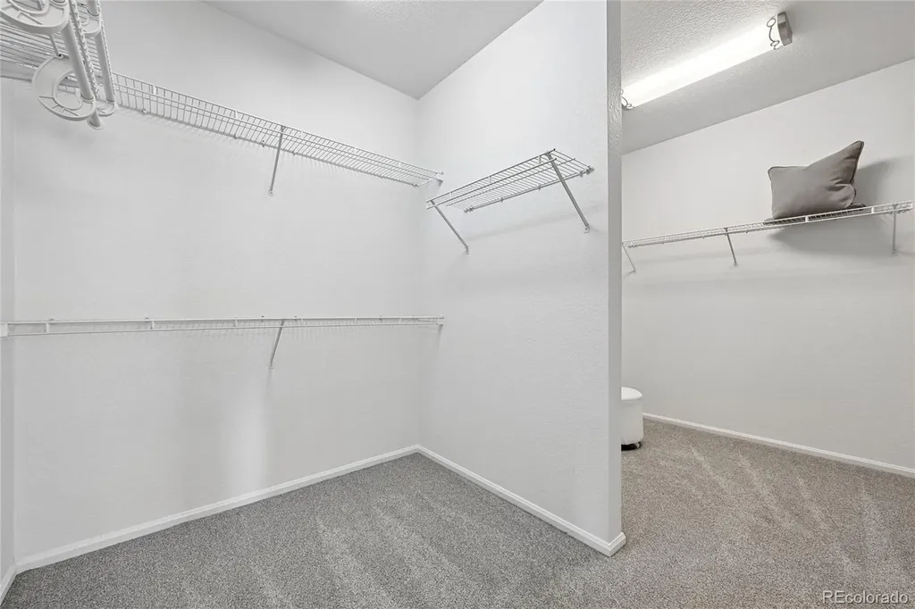 21665 Mount Elbert Place Parker CO 80138