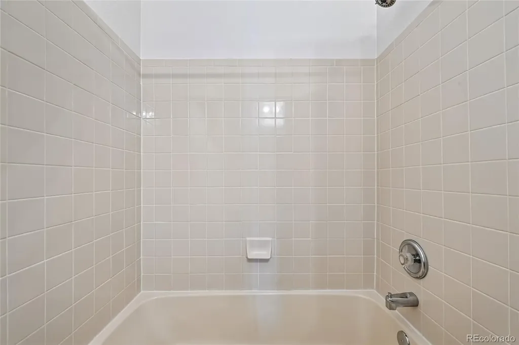 21665 Mount Elbert Place Parker CO 80138