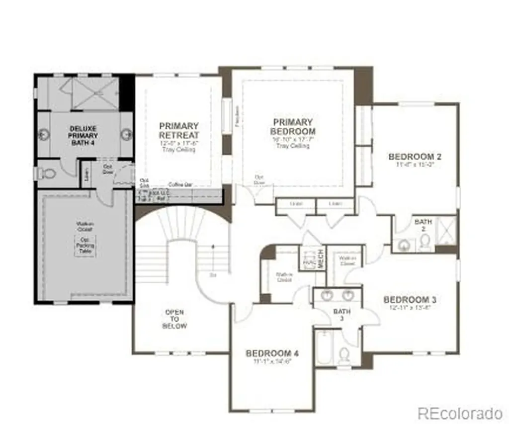 1303 Oleander Street Castle Rock CO 80109