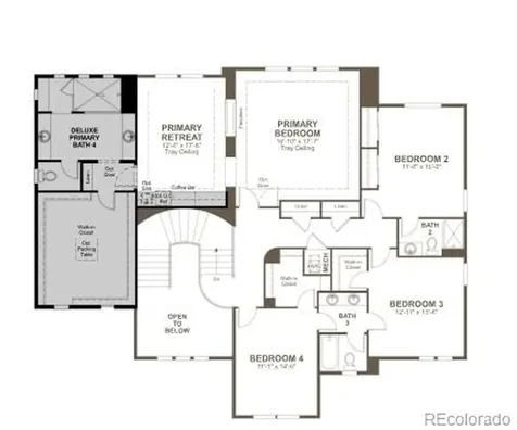 1303 Oleander Street Castle Rock CO 80109