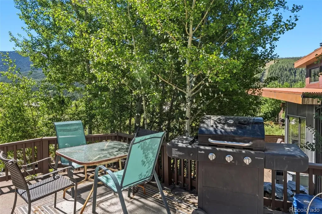 640 Meisel Drive Keystone CO 80435