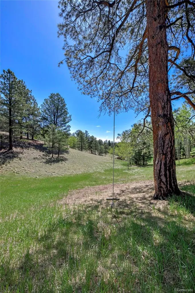 63 Star View Trail Divide CO 80814