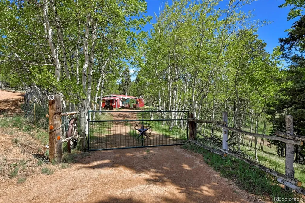 63 Star View Trail Divide CO 80814