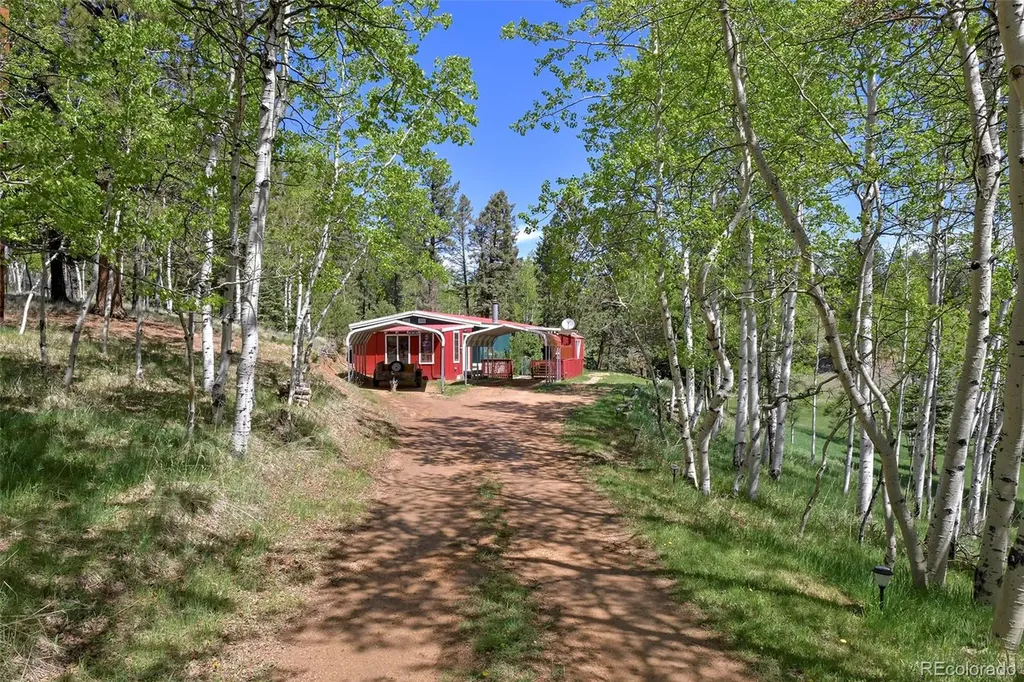63 Star View Trail Divide CO 80814