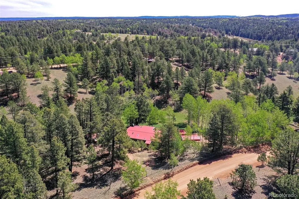 63 Star View Trail Divide CO 80814