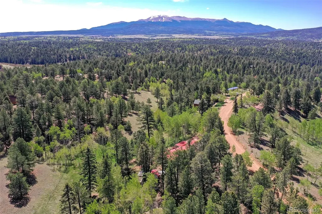 63 Star View Trail Divide CO 80814