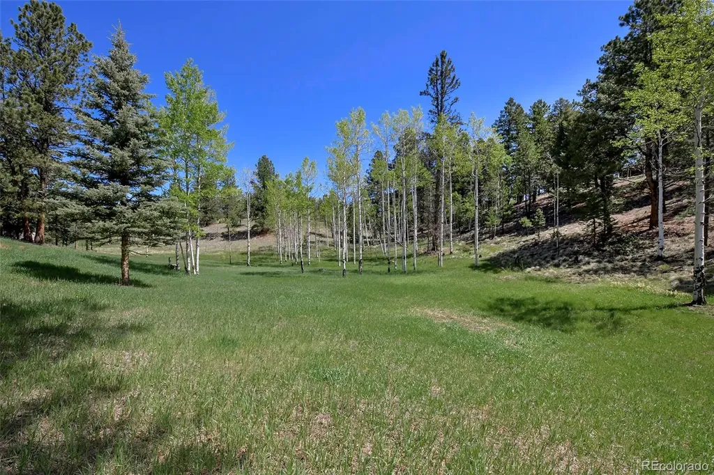 63 Star View Trail Divide CO 80814