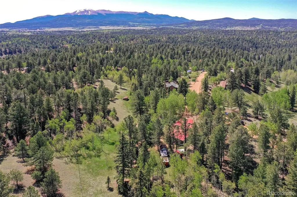 63 Star View Trail Divide CO 80814