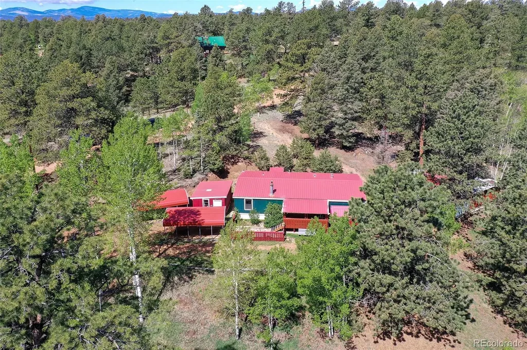 63 Star View Trail Divide CO 80814