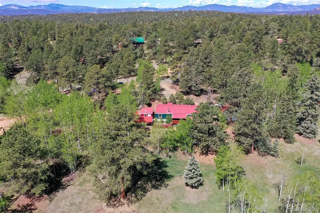 63 Star View Trail Divide CO 80814