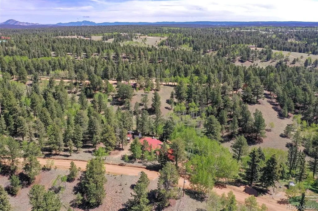 63 Star View Trail Divide CO 80814