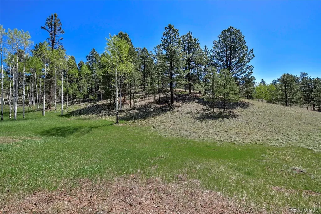 63 Star View Trail Divide CO 80814