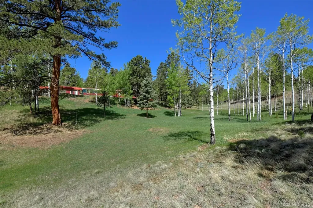 63 Star View Trail Divide CO 80814