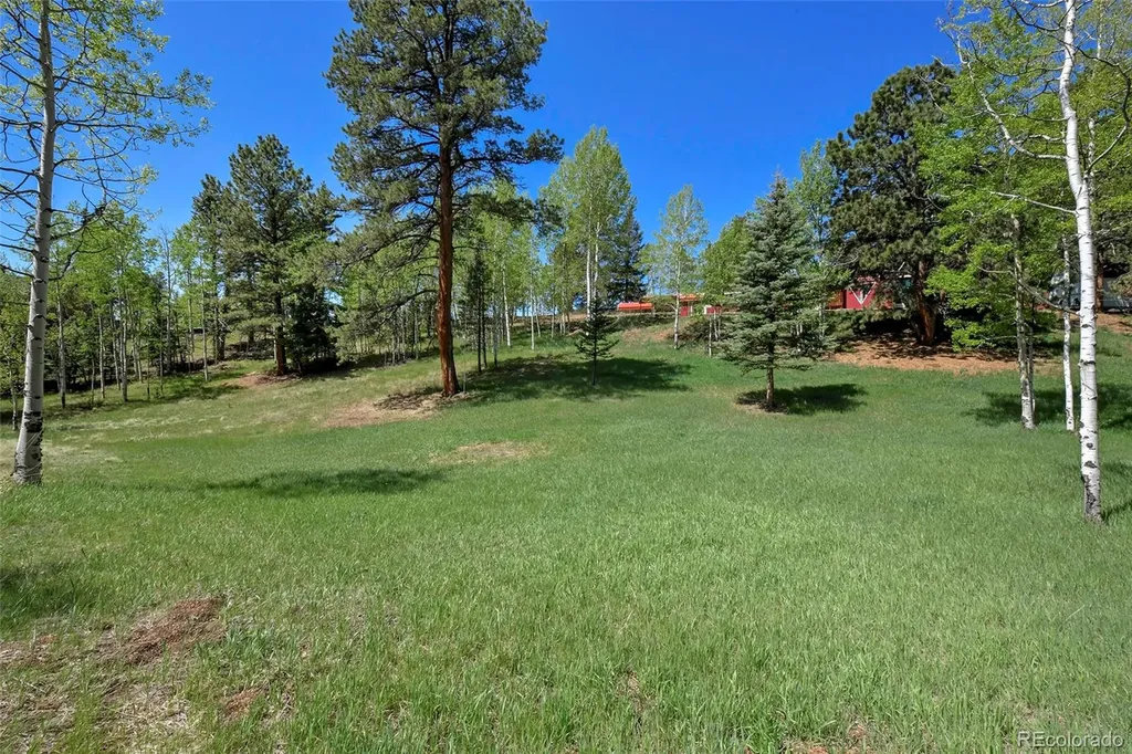 63 Star View Trail Divide CO 80814