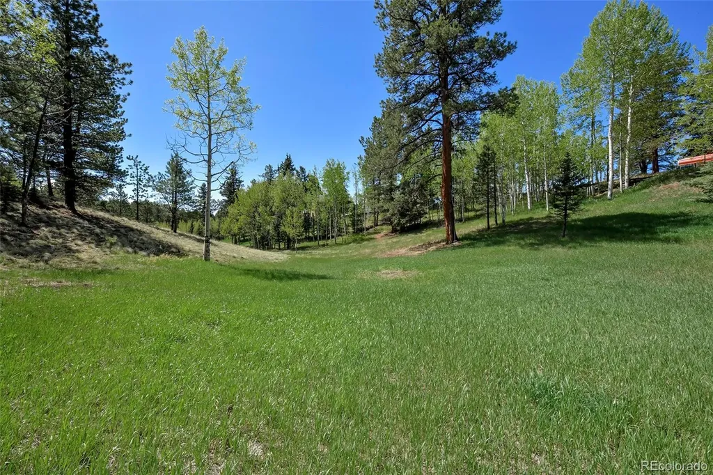 63 Star View Trail Divide CO 80814