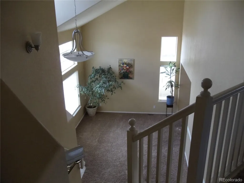 155 Hampstead Avenue Castle Rock CO 80104
