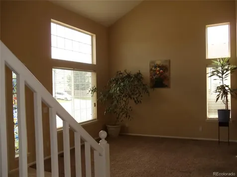155 Hampstead Avenue Castle Rock CO 80104