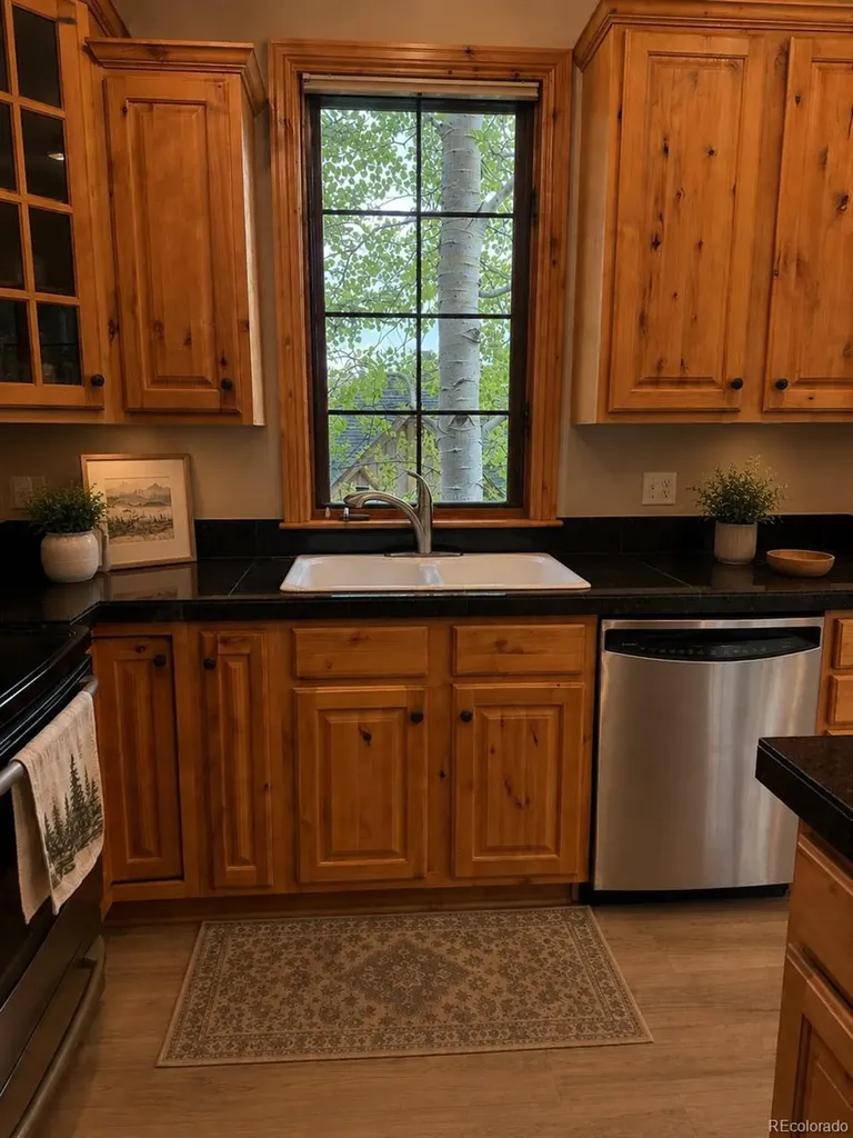 31276 Stone Canyon Road Evergreen CO 80439