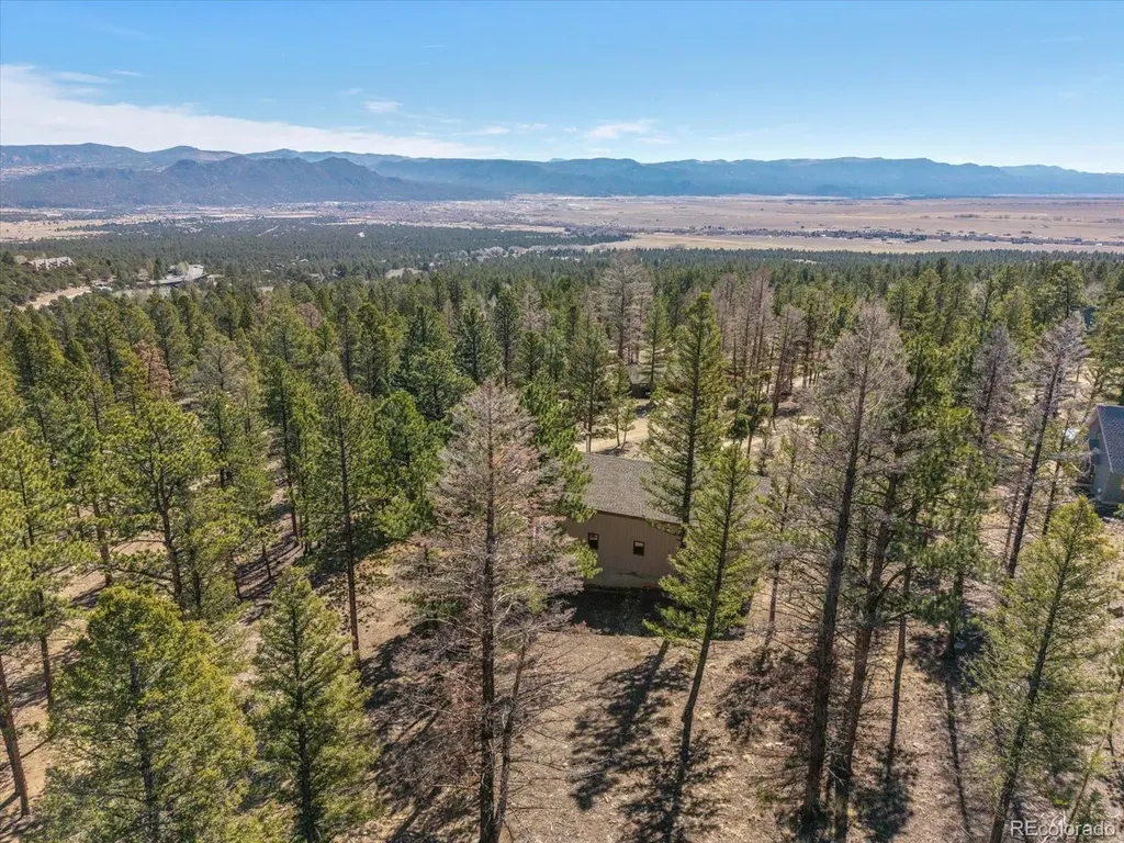 18898 Monte Escondido Court Buena Vista CO 81211