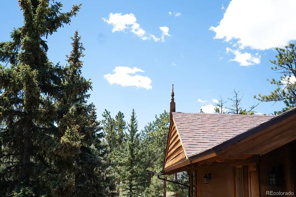 18525 Via Ponderosa Drive Buena Vista CO 81211