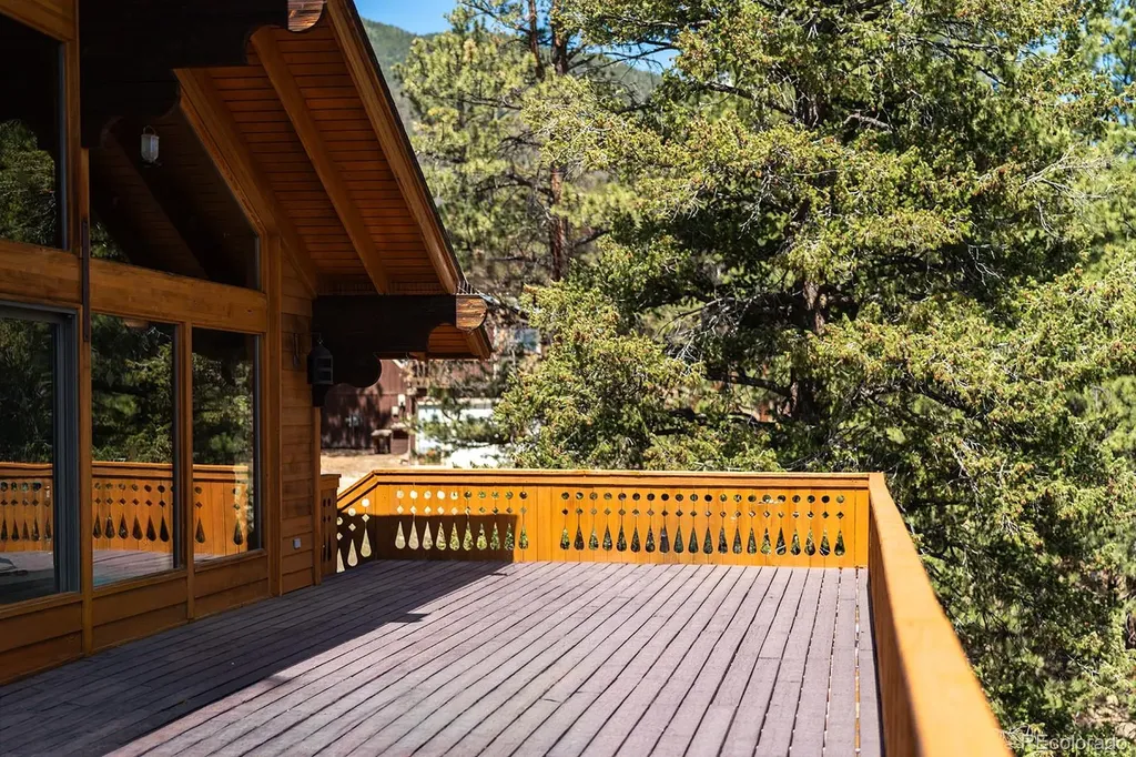 18525 Via Ponderosa Drive Buena Vista CO 81211
